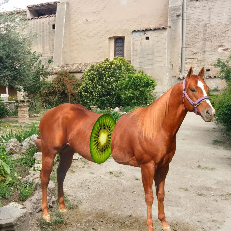 Двуногая лошадь