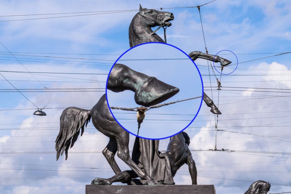 Мухортая масть лошади