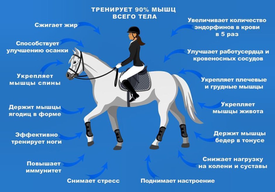 Кот интервью