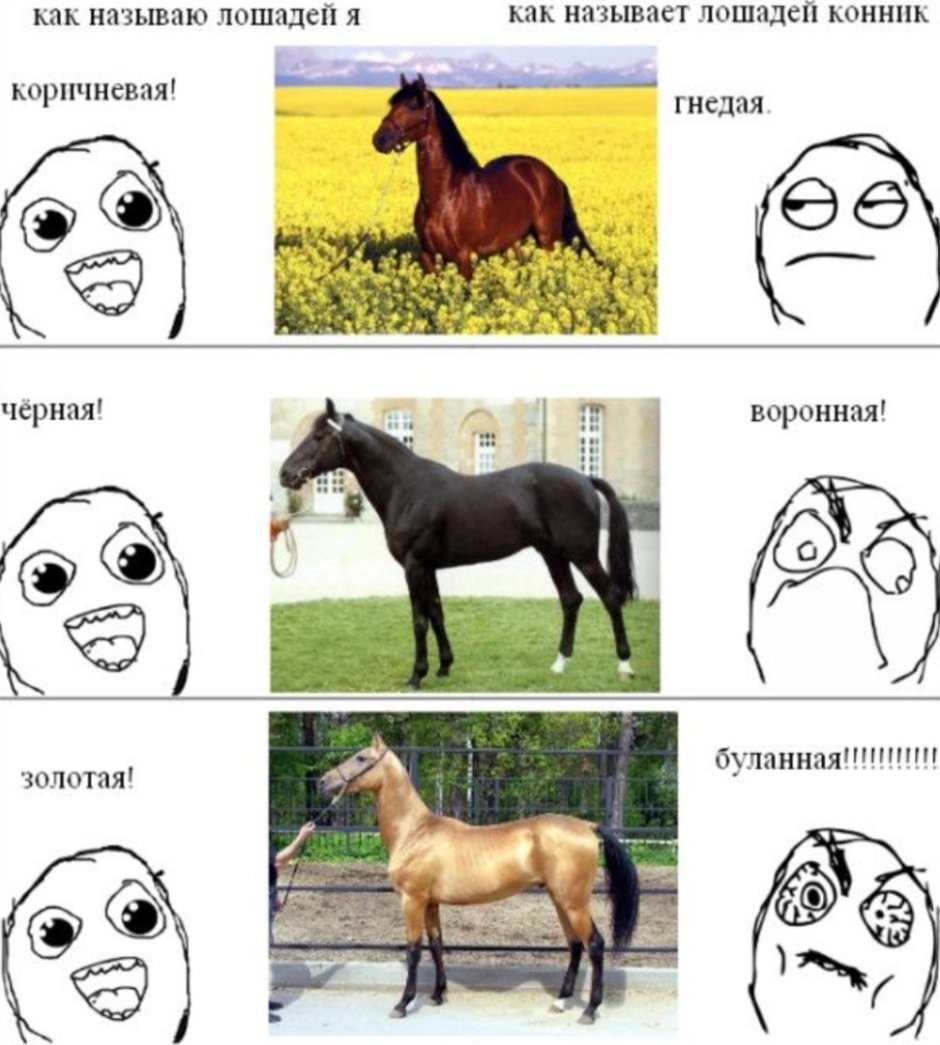 Мейбридж Эдвард лошадь