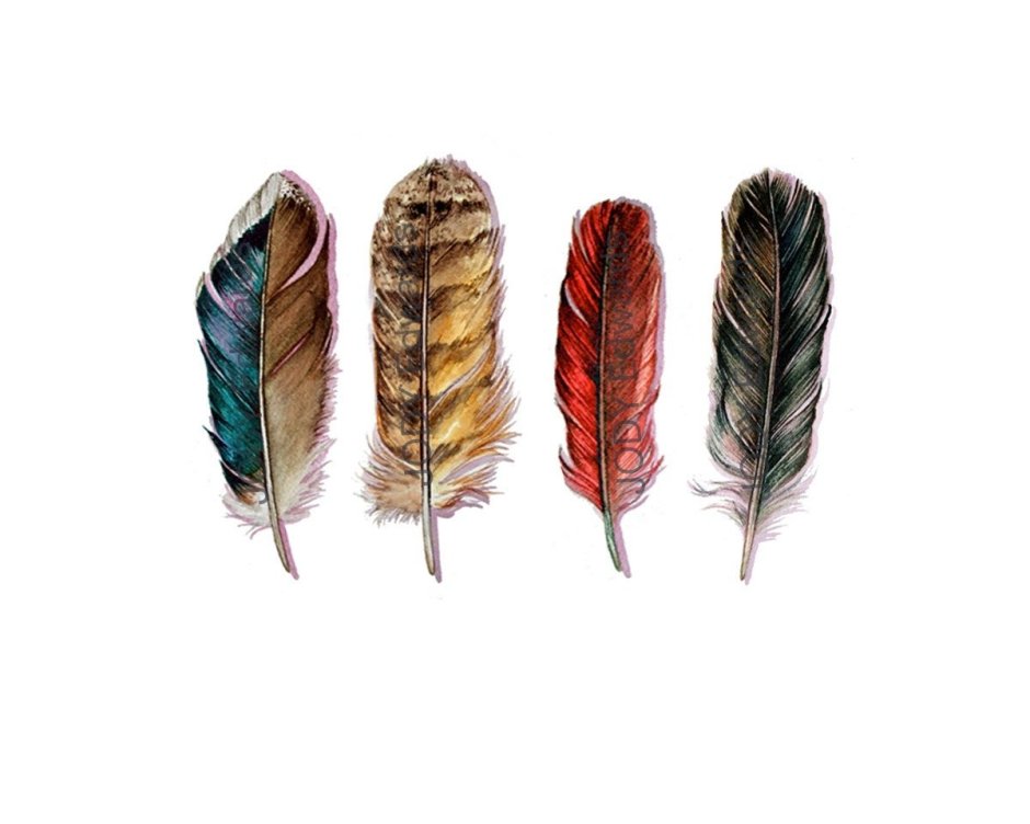 Цветные перья