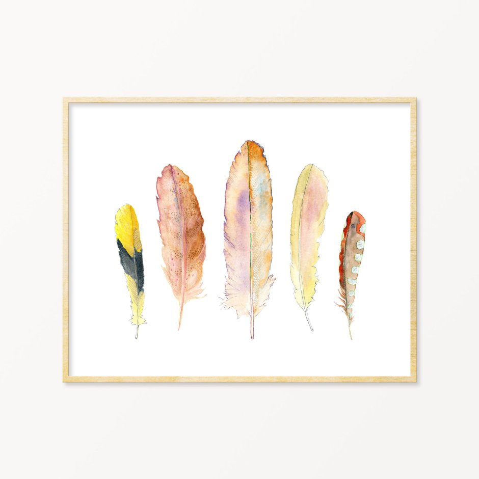 Этюды перьев птиц акварель