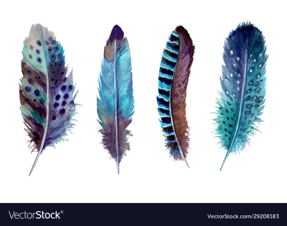 Шоколадные перья космос