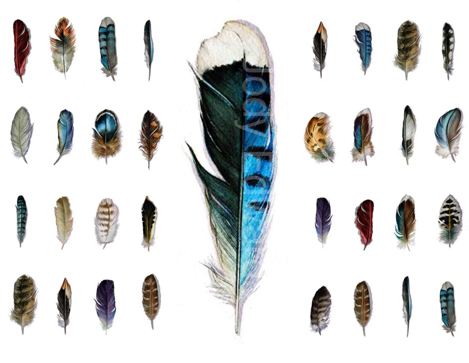 Перо наклейка