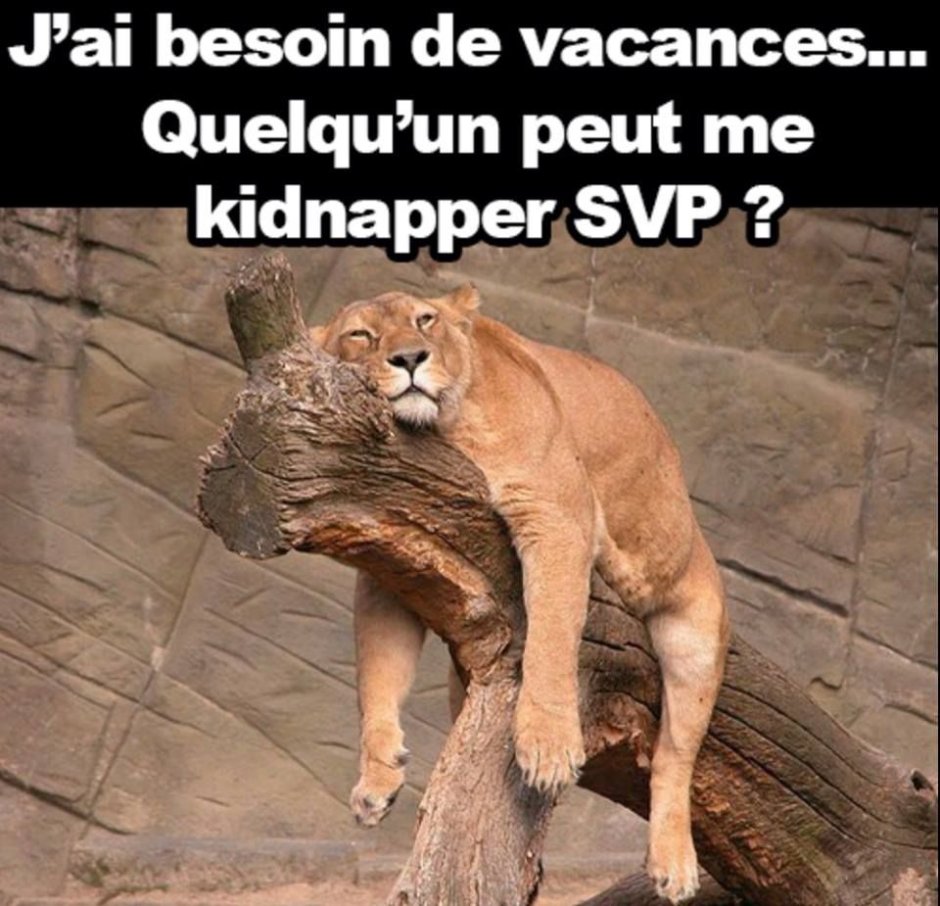 Смешной Лев