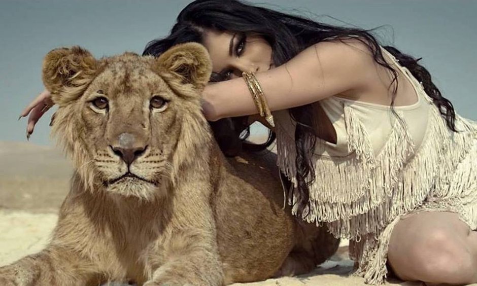 Парк Тайган львица Стрекоза