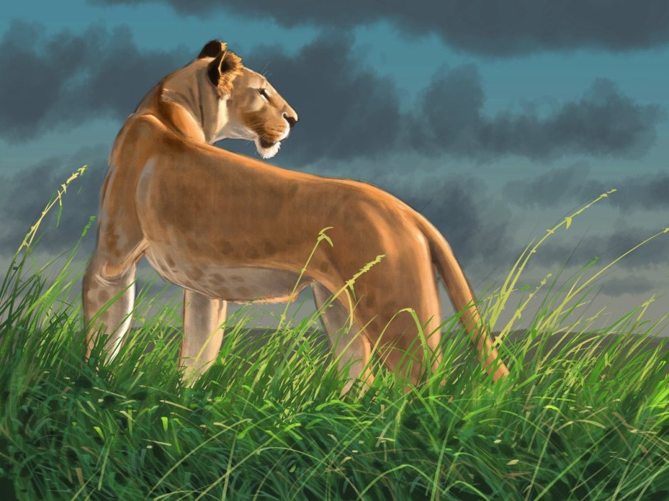 Львица несет в зубах львенка