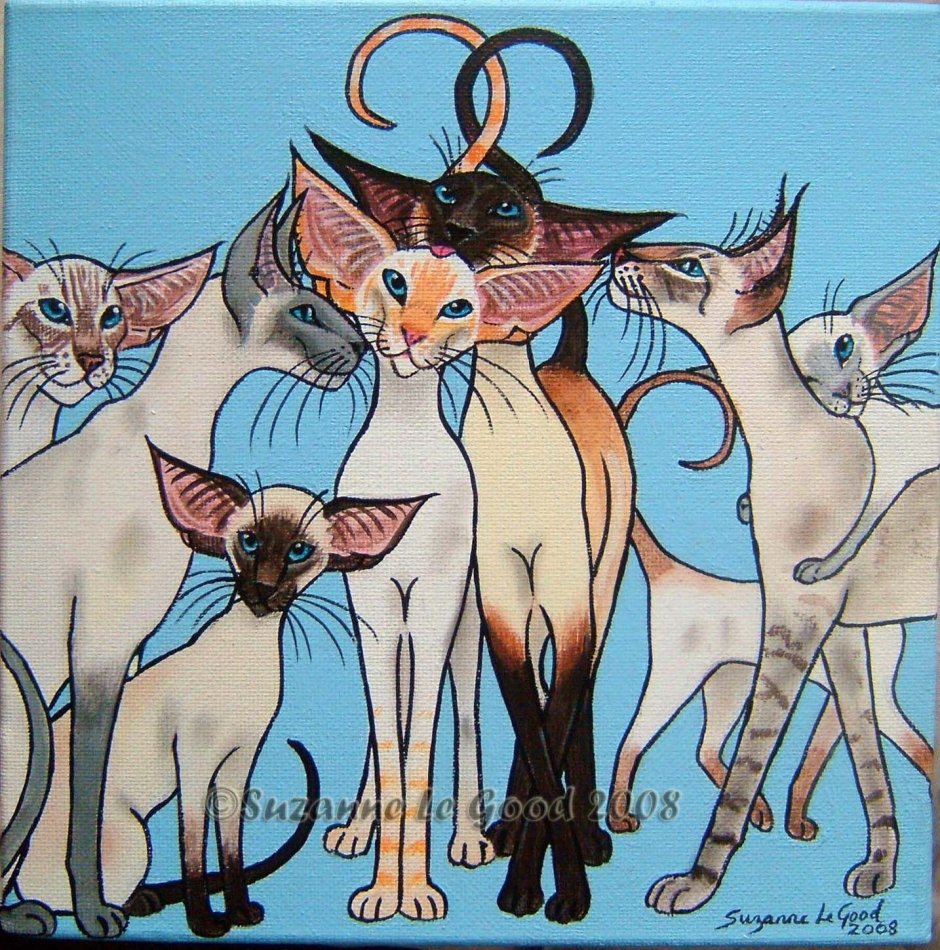 Сиамские Близнецы кошки
