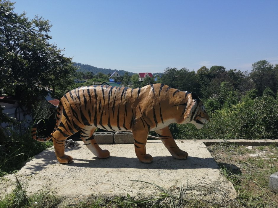 Лигр гибрид Льва и тигра