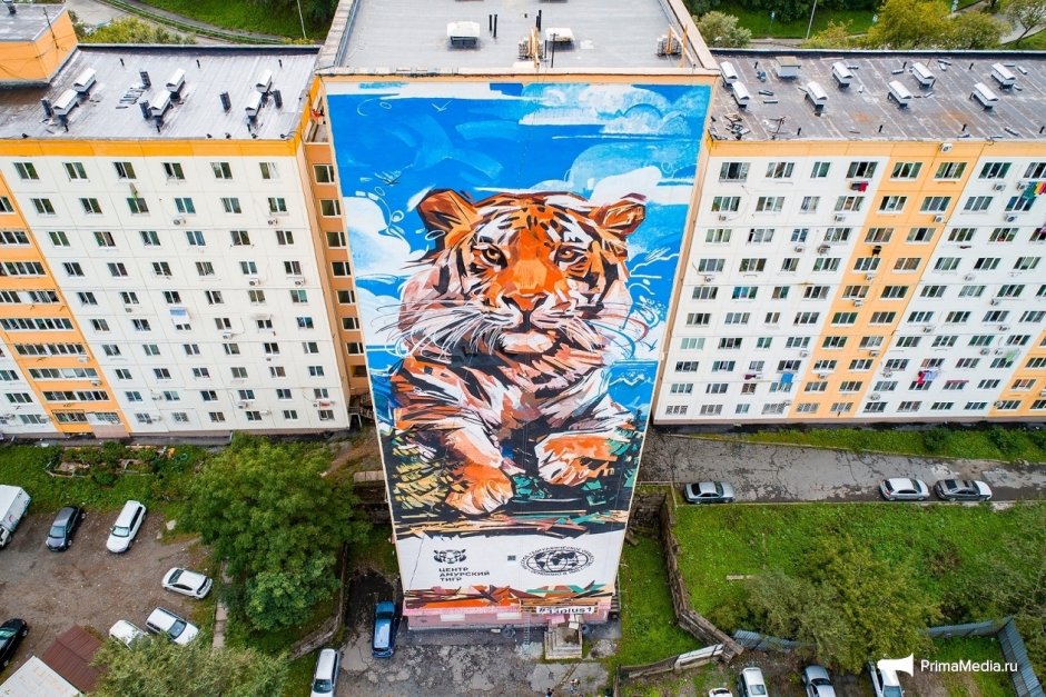 Тигр и человек Дружба