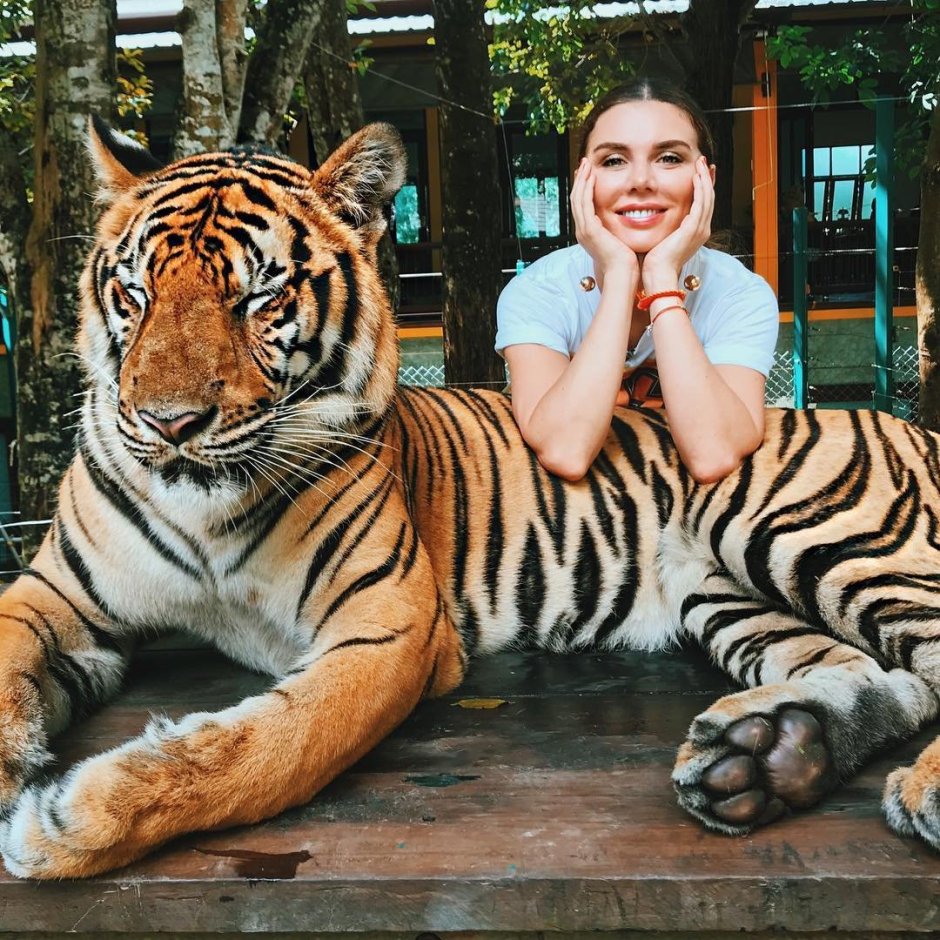 Самые самые большие тигры