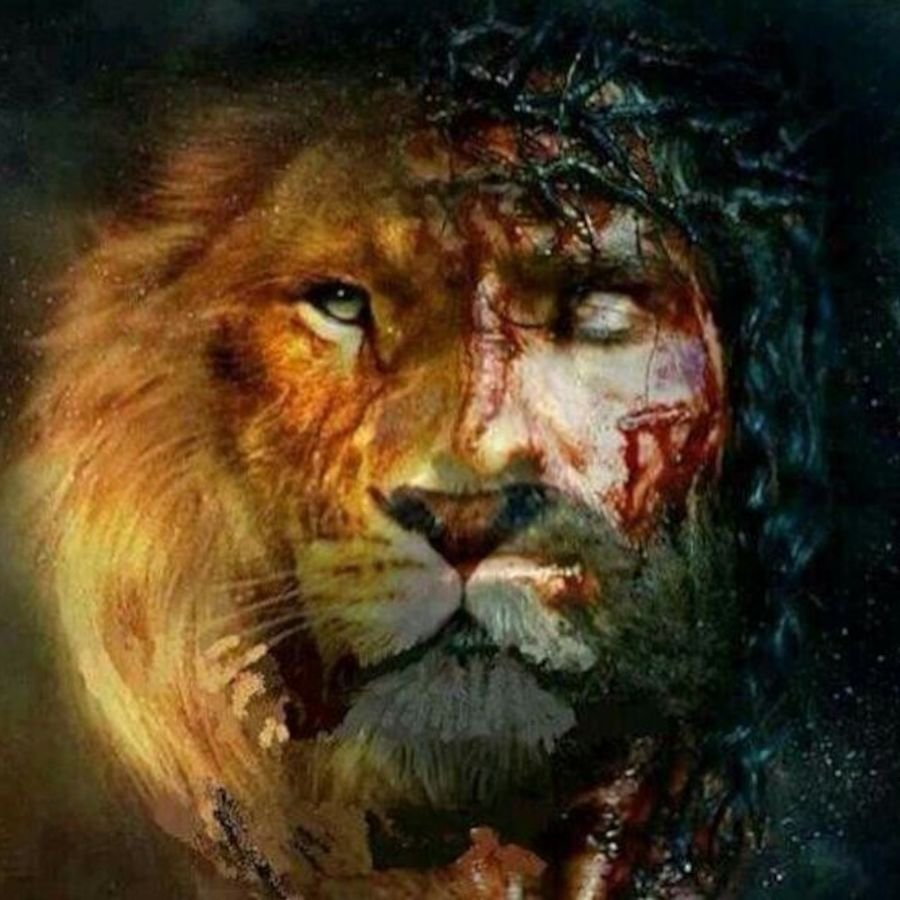 Лев с подбитым глазом