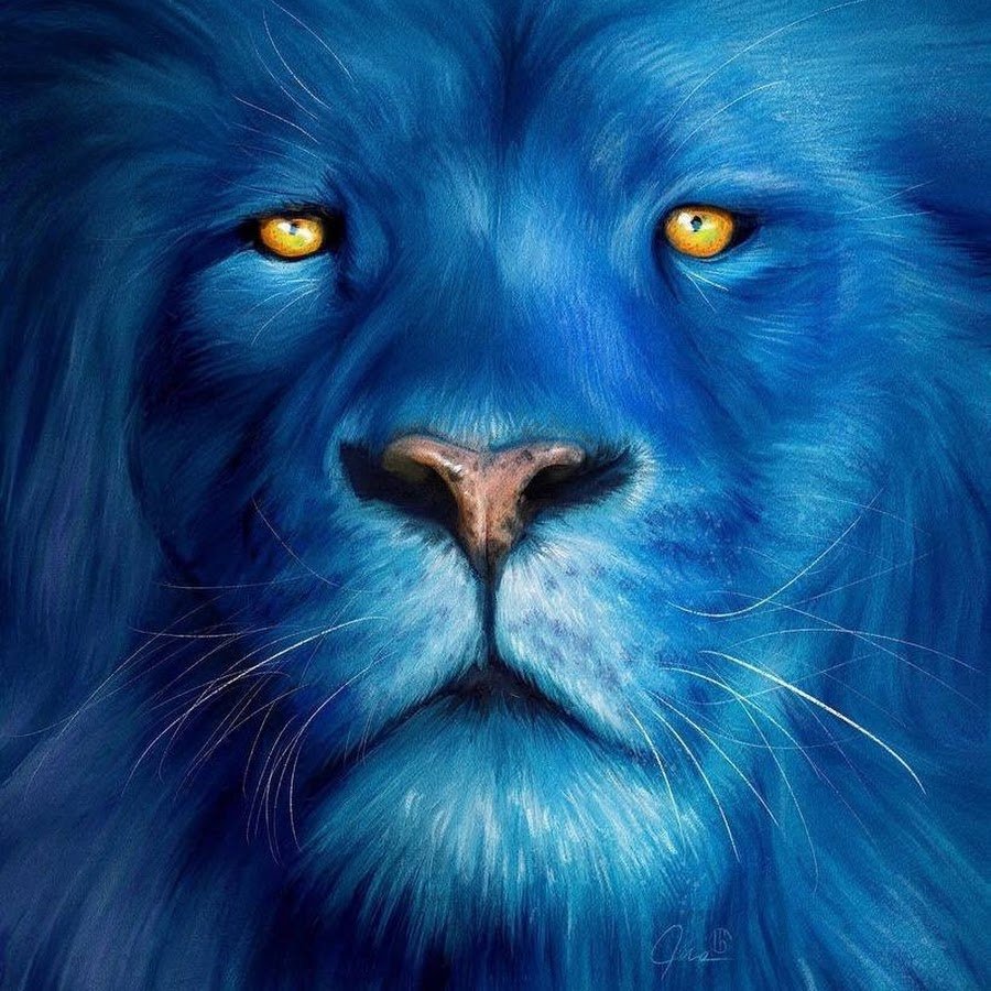 Лев с синими глазами