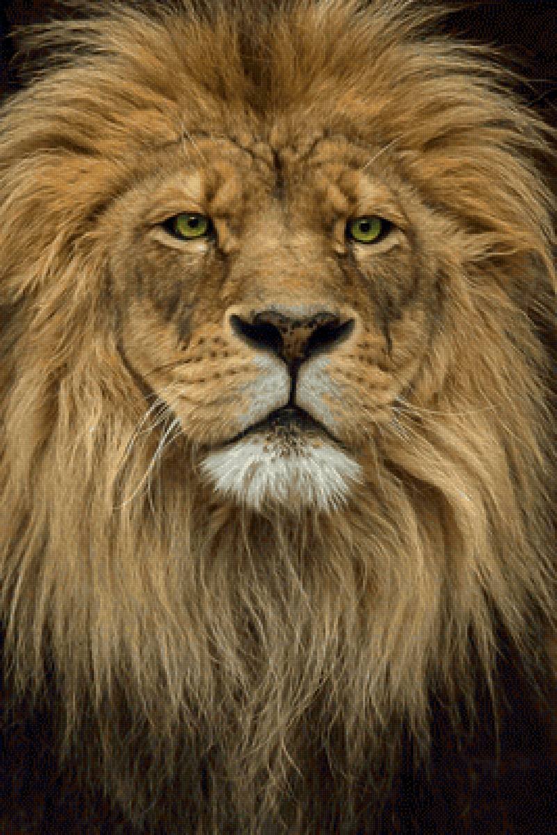 Лев с зелеными глазами