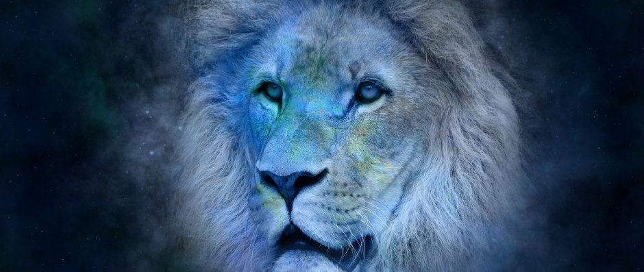 Фотообои Лев с синими глазами