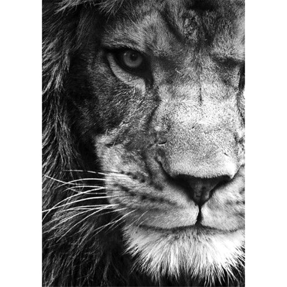 Голубой Лев