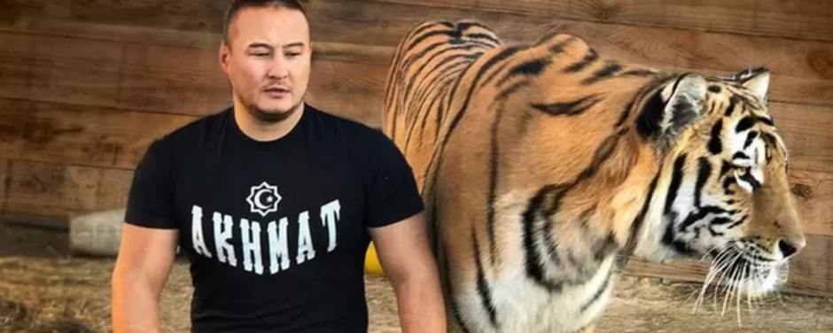 Тигр чудовище Хабаровск
