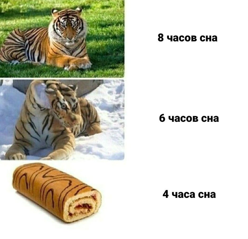 Тигр бизнесмен