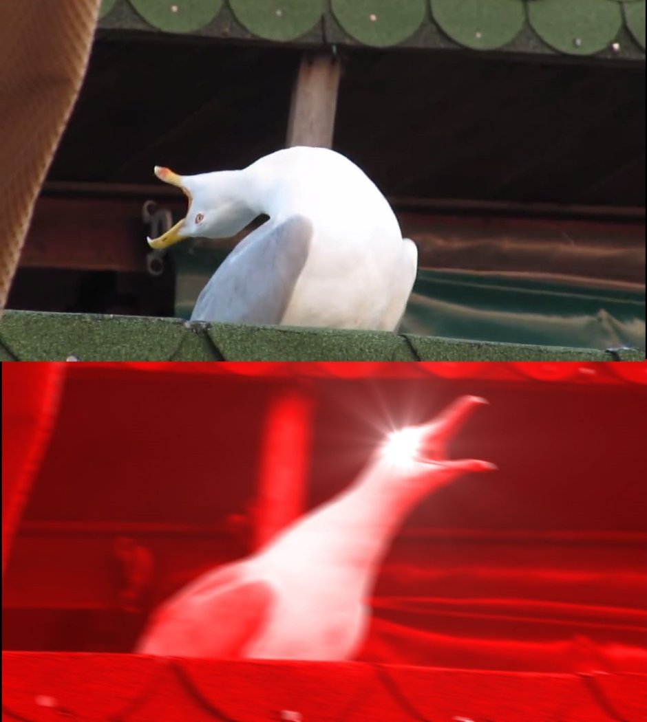 Чайка Мем