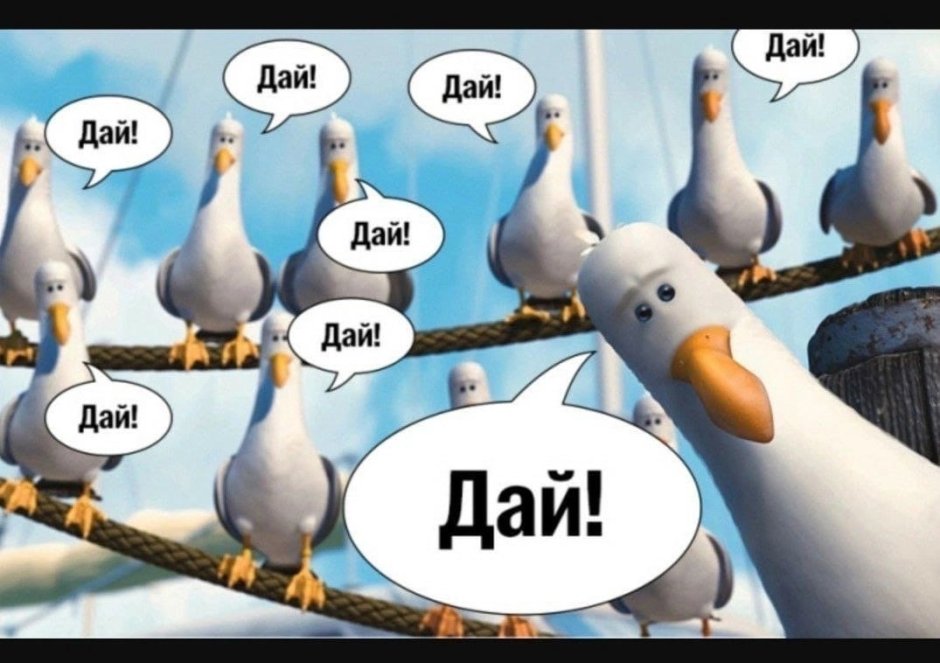 Чайки из мультика в поисках Немо