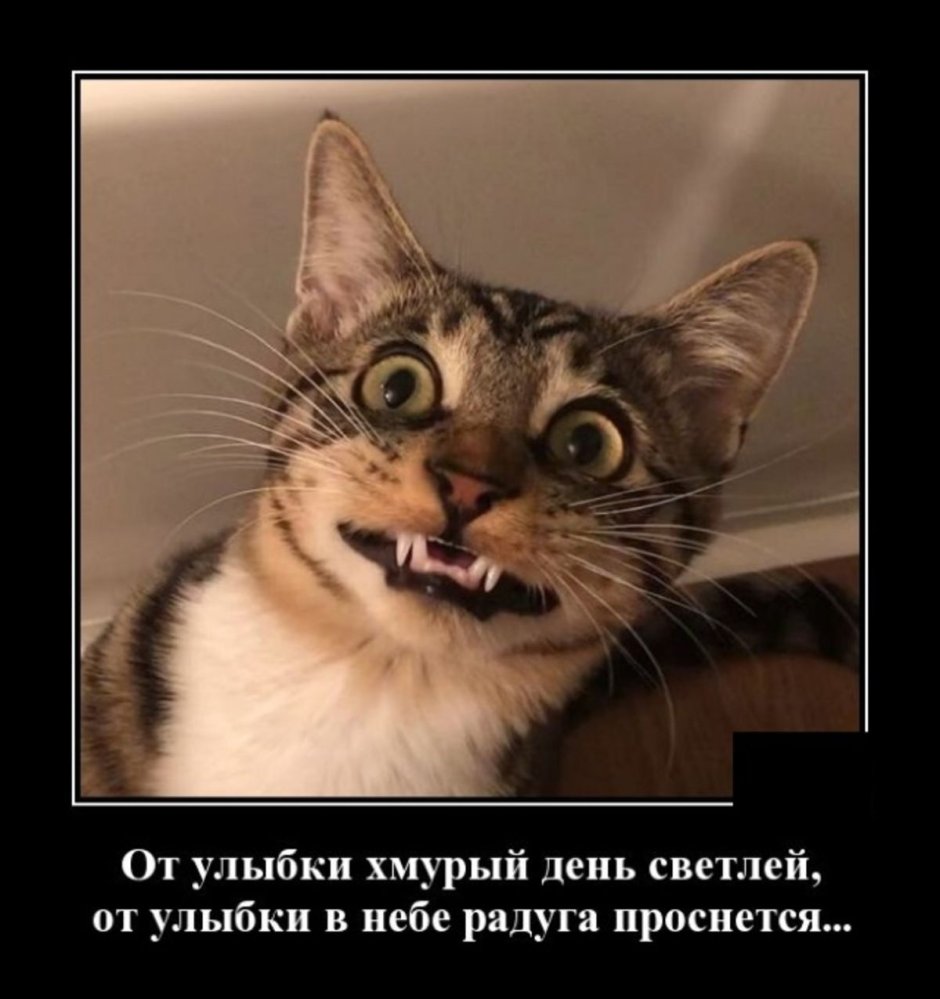 От улыбки прикол