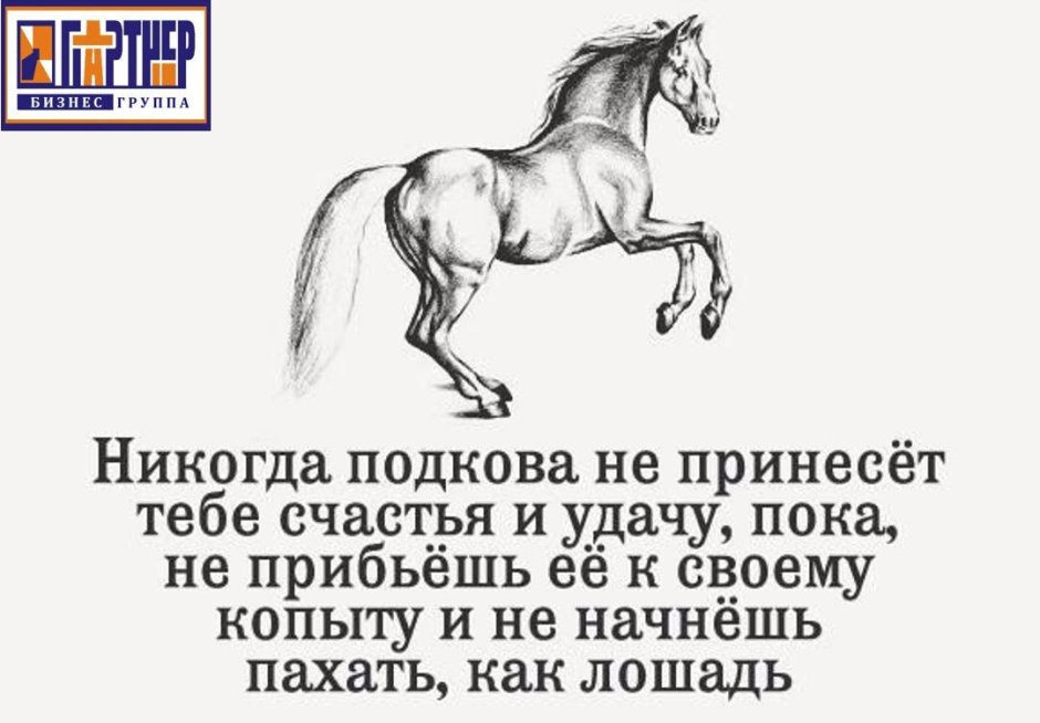 Жидкие подковы для лошадей