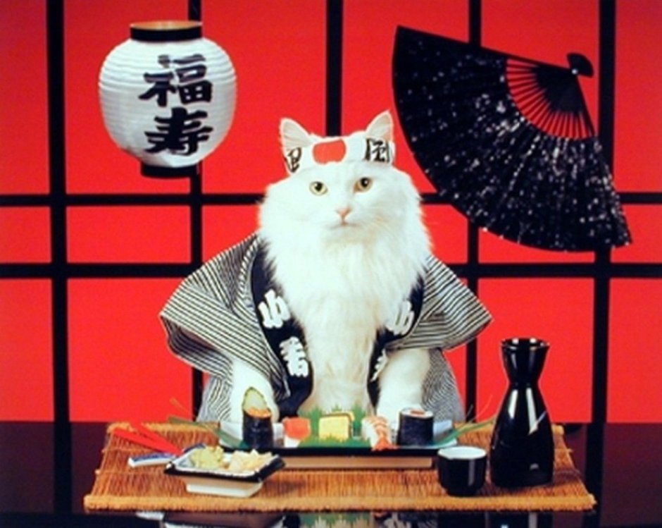 Японцы и кошки