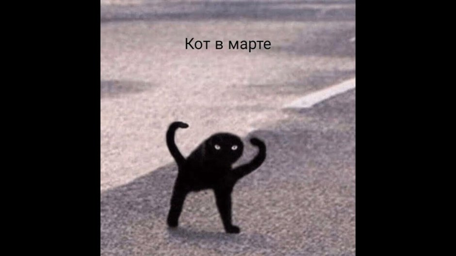 Грампи Кэт и бисмарк