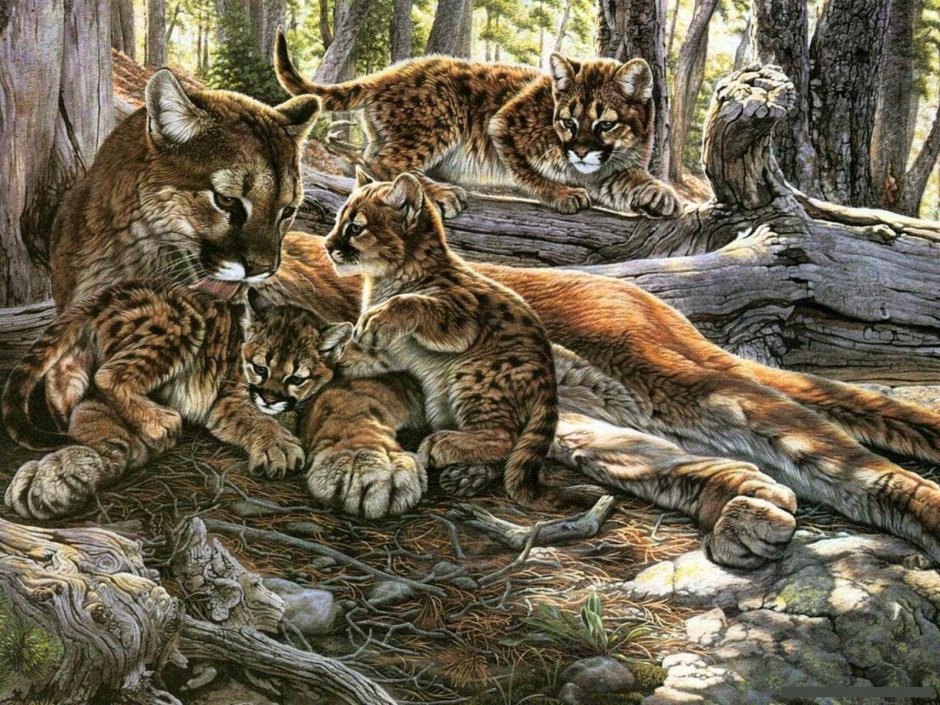 Художник al Agnew животные