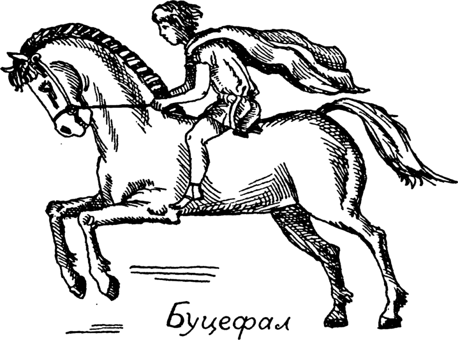 Буцефал конь
