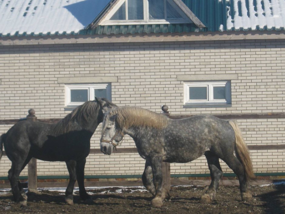 Памятник под небом рисунок