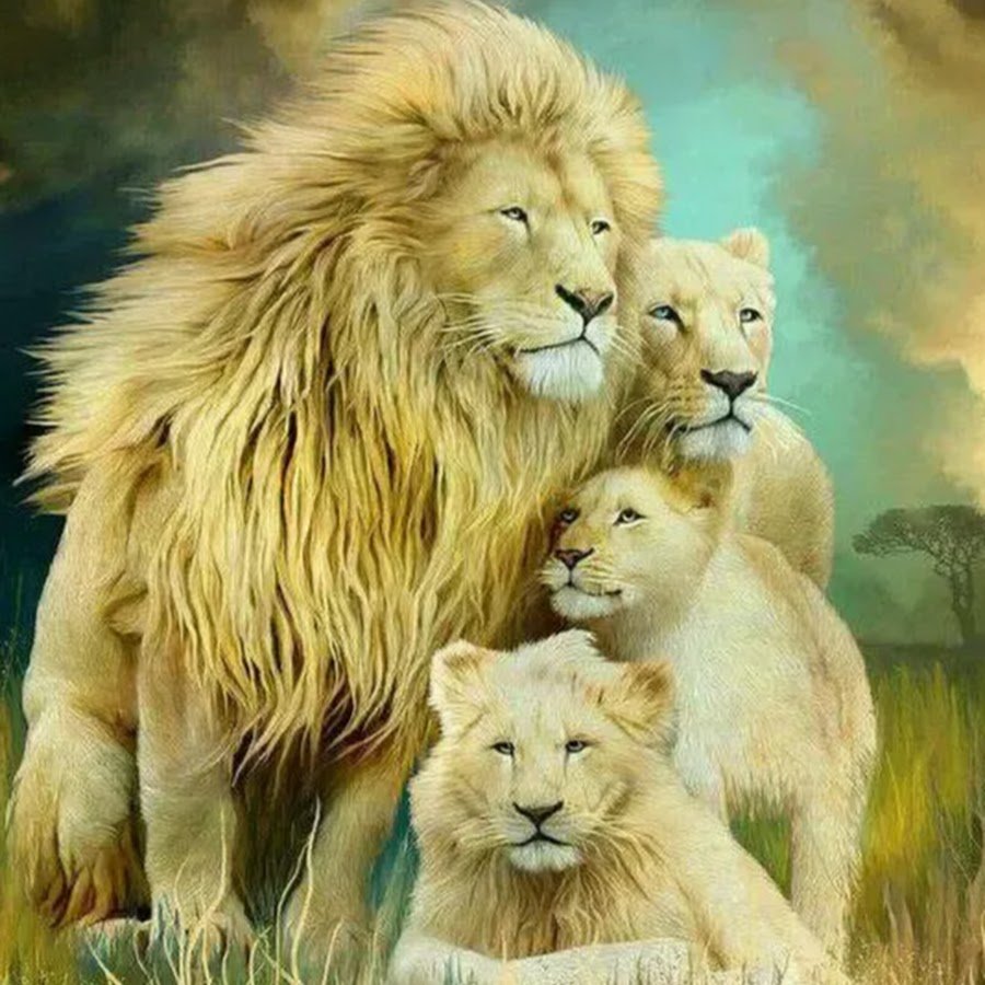 Львиный Прайд