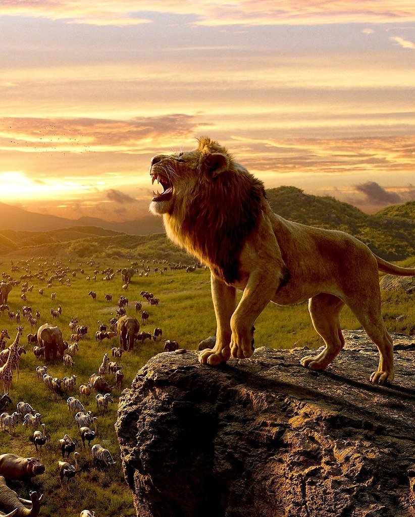 Шрам Король Лев 2019