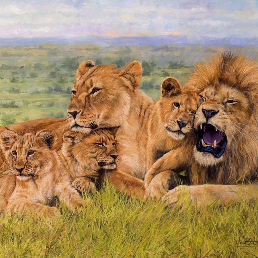 Прайд это львиная семья