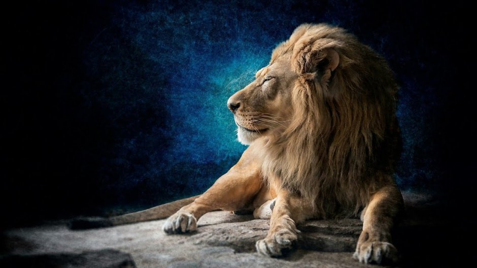 Лев в прыжке