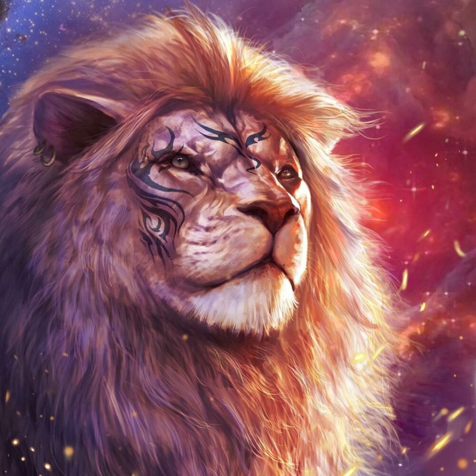 Лев и львица идут