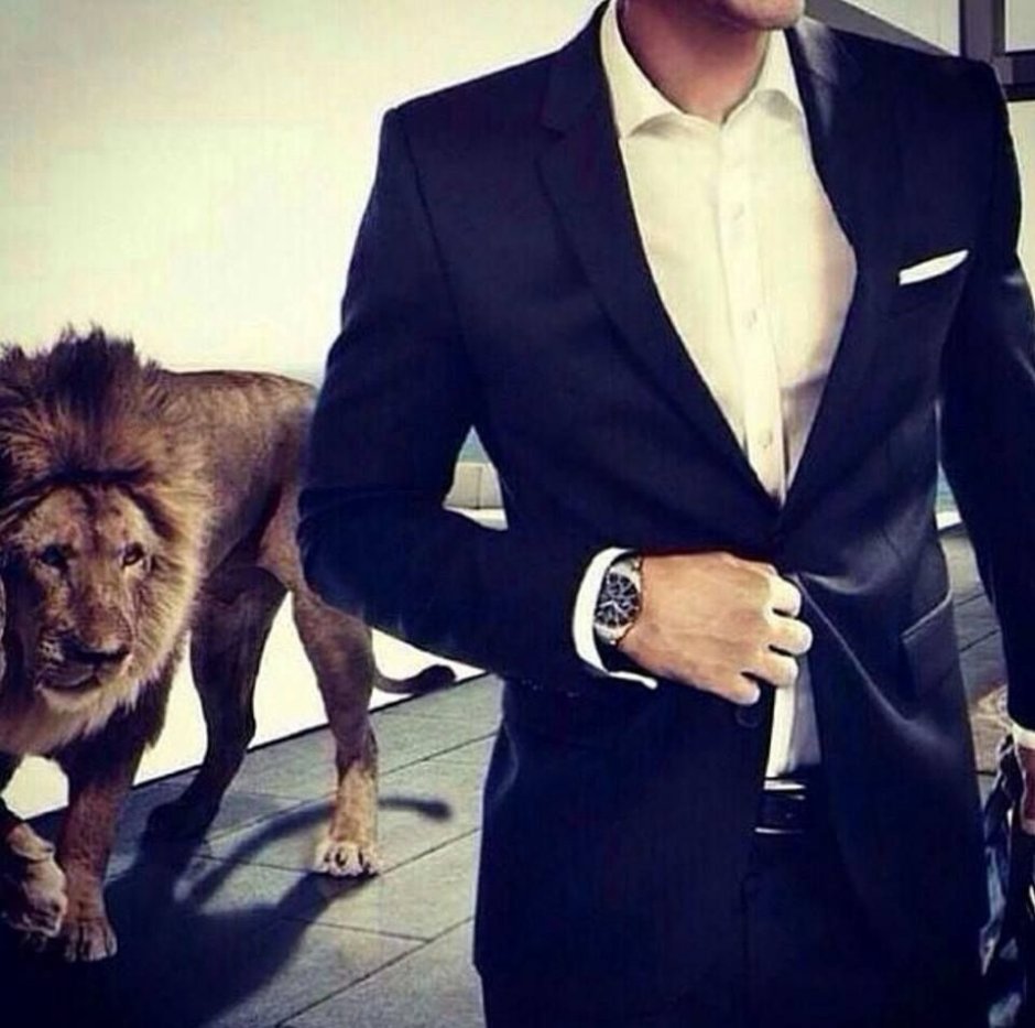 Нежные животные