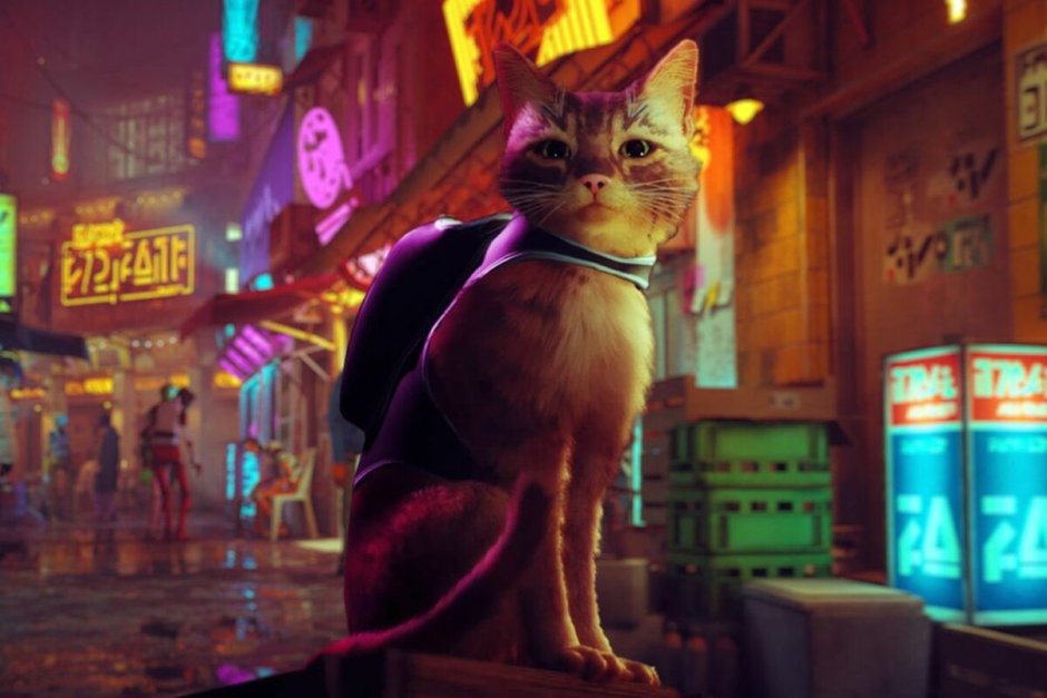 Stray игра