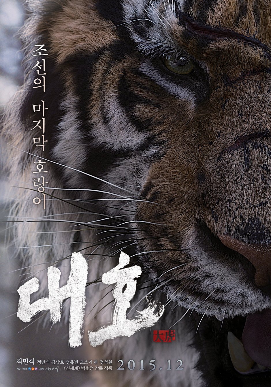 Тигр National Geographic