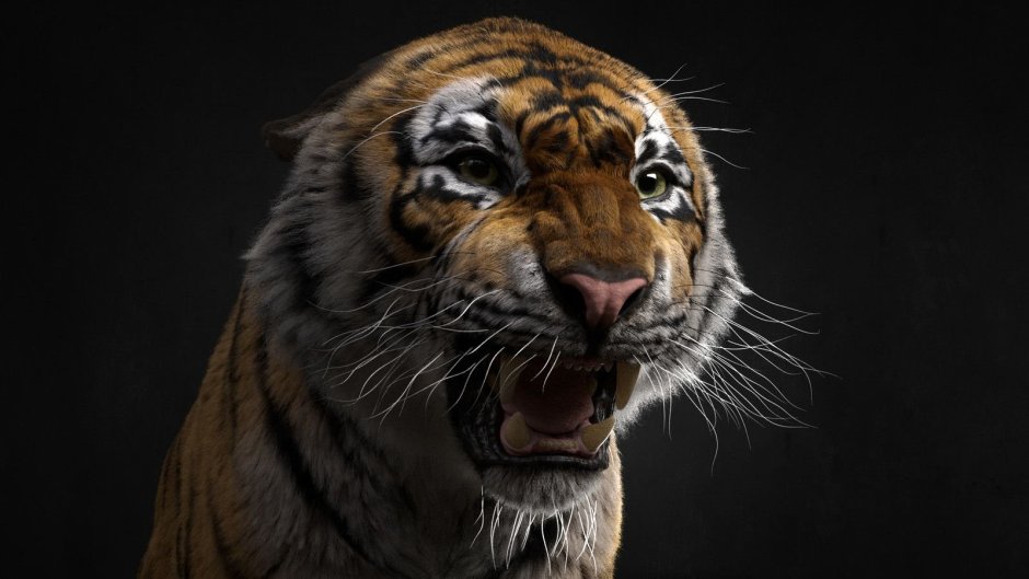 Sabertooth Tiger vs Lion