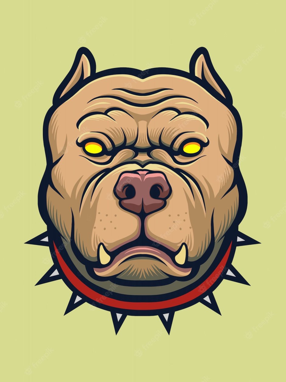 Злой питбуль рисунок