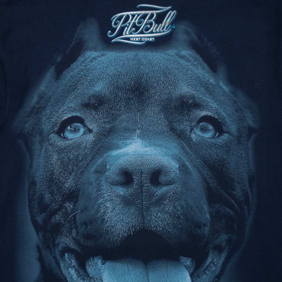 Питбуль на аву