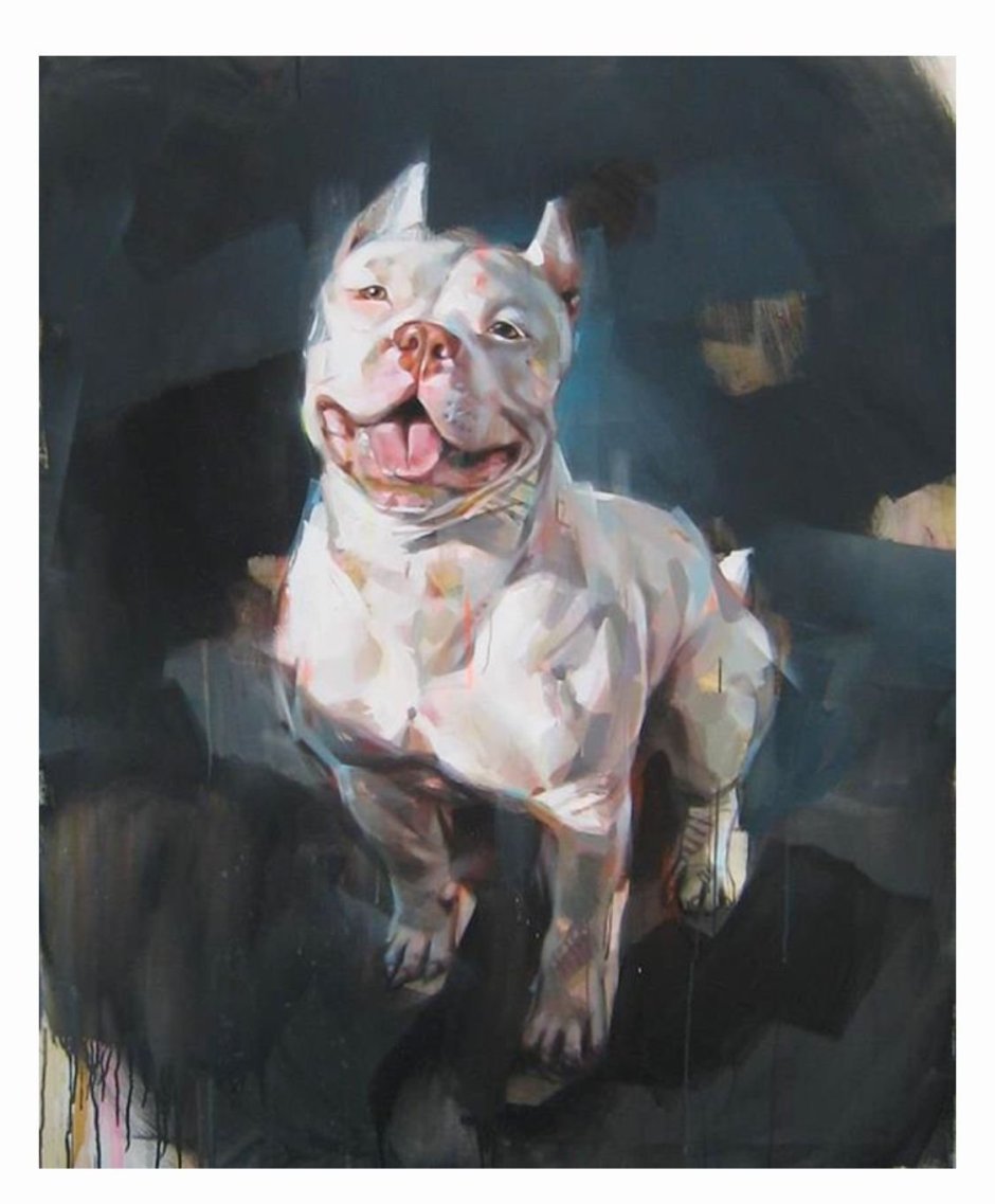 Злые питбули