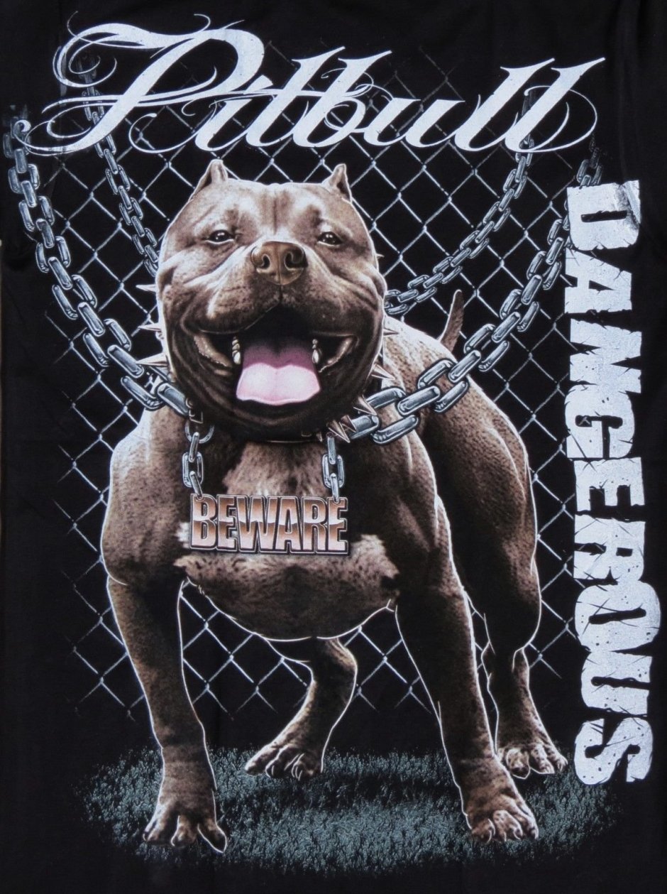 Питбуль аватар
