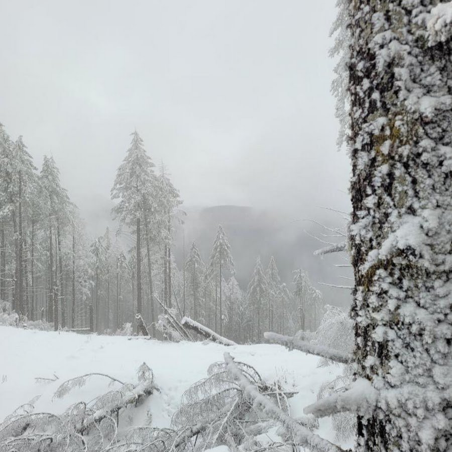 Ворлд оф танк тигр 2