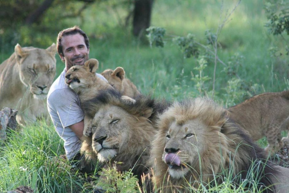 Лев и мальчик