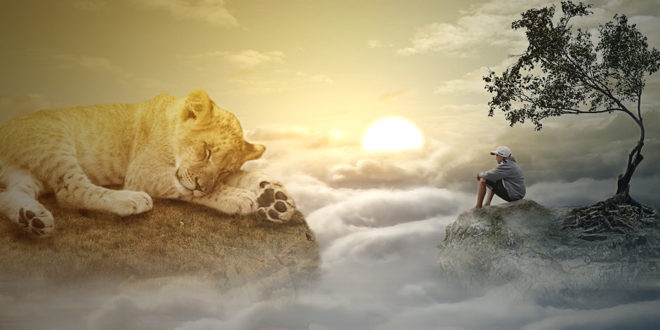 Спокойствие Льва