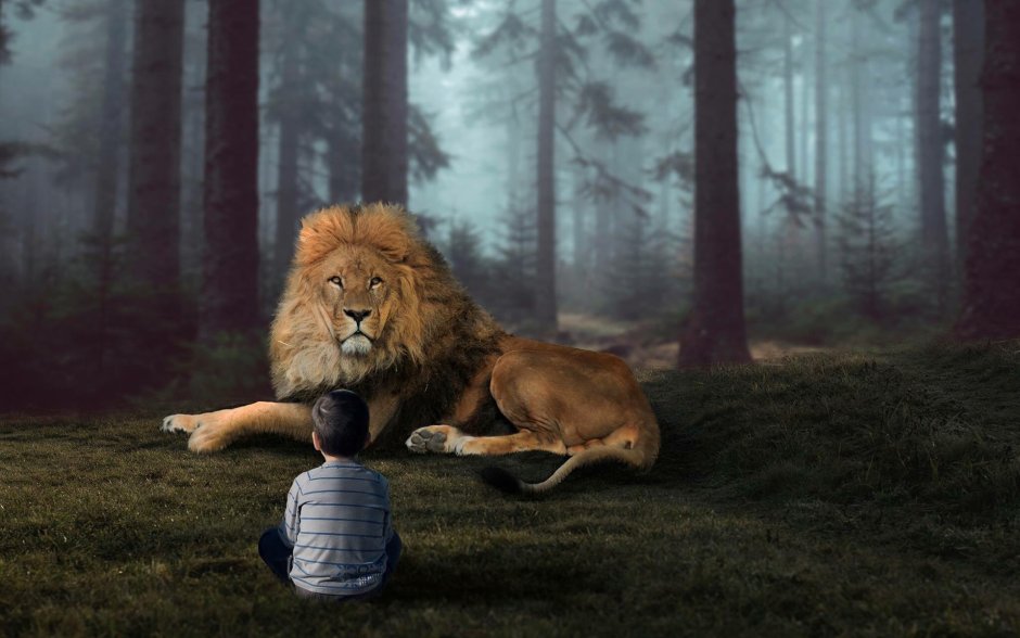 Влюбленный Лев