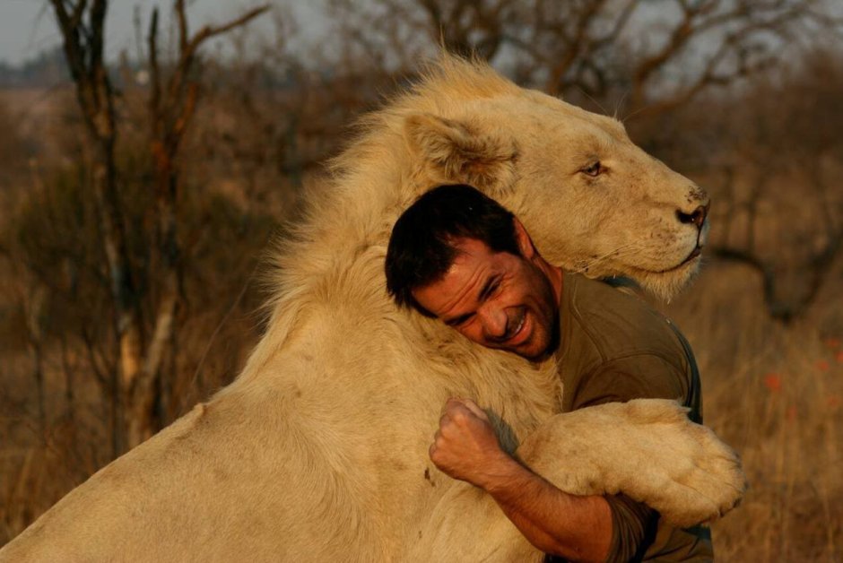 Кевин Ричардсон Заклинатель Львов