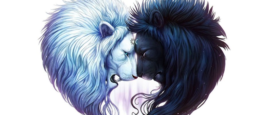 Сила и нежность